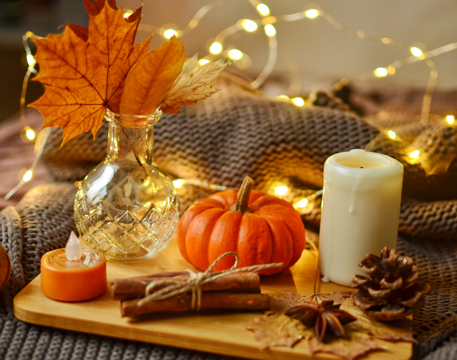 Senses of the Season: "Fall Edition"